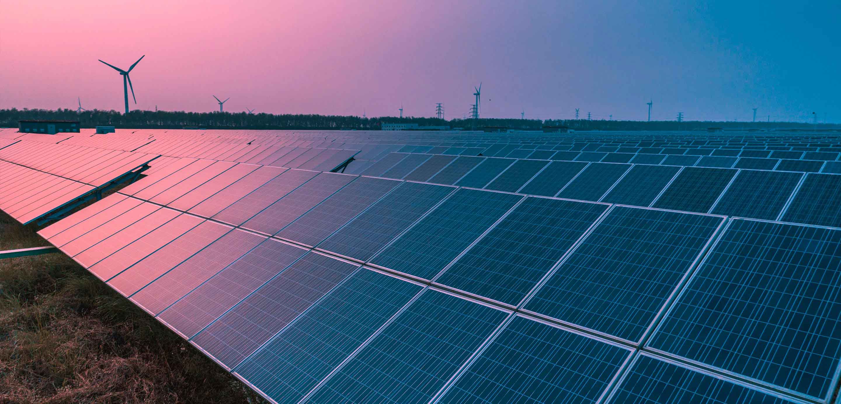 Sustainability for business HSBC New Zealand Sustainability for business HSBC New Zealand